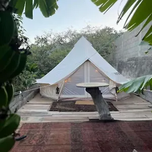  Tente de luxe Yurt In Avocado Garden Espagne